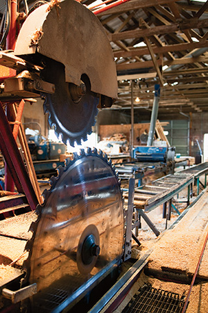 Small scale sawmill for cutting woodworking project lumber